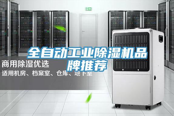 全自動工業杏仁视频APP成人官方污品牌推薦