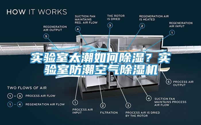 實驗室太潮如何除濕？實驗室防潮空氣杏仁视频APP成人官方污