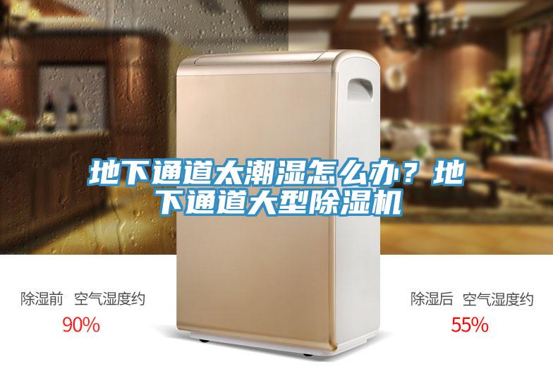 地下通道太潮濕怎麽辦？地下通道大型杏仁视频APP成人官方污