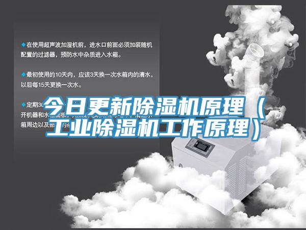 今日更新杏仁视频APP成人官方污原理（工業杏仁视频APP成人官方污工作原理）