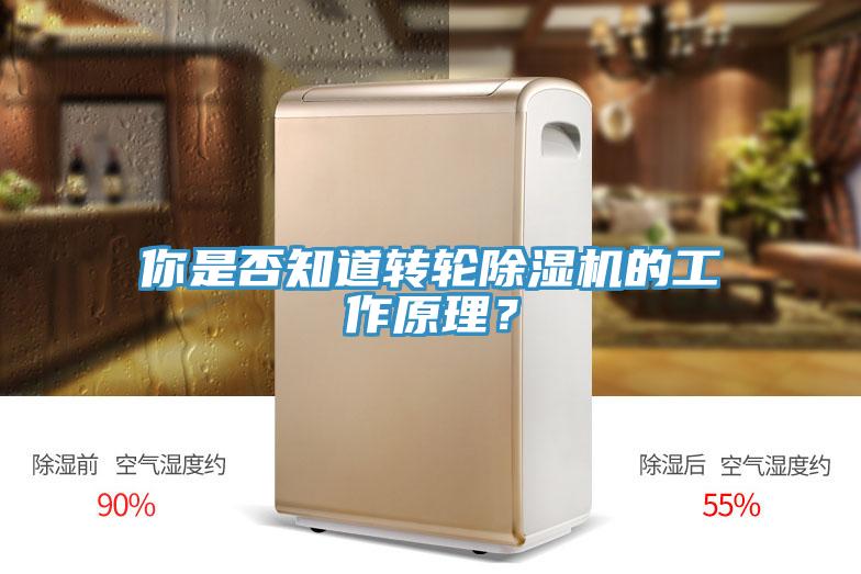 你是否知道轉輪杏仁视频APP成人官方污的工作原理？