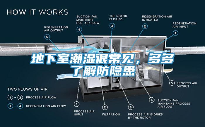 地下室潮濕很常見，多多了解防隱患