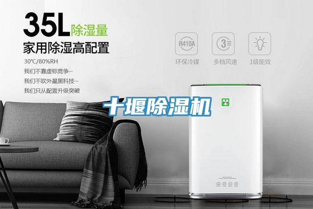 十堰杏仁视频APP成人官方污