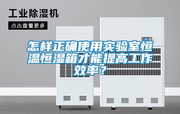 怎樣正確使用實驗室恒溫恒濕箱才能提高工作效率？