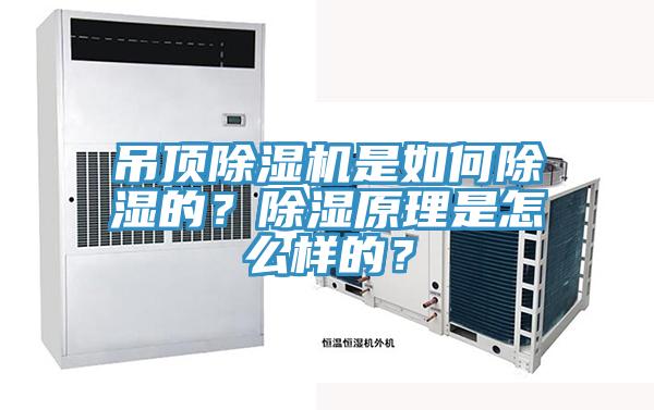 吊頂杏仁视频APP成人官方污是如何除濕的？除濕原理是怎麽樣的？