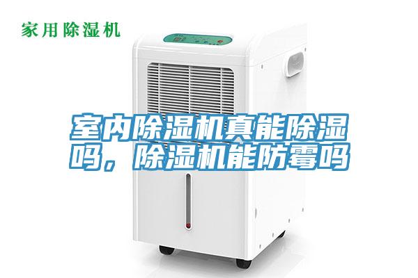 室內杏仁视频APP成人官方污真能除濕嗎，杏仁视频APP成人官方污能防黴嗎