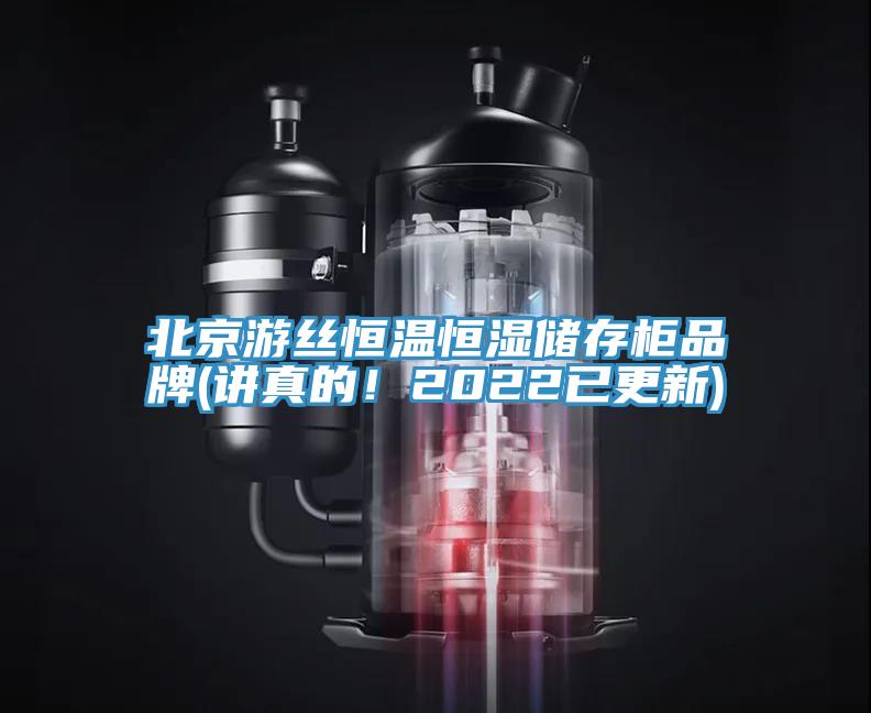 北京遊絲恒溫恒濕儲存櫃品牌(講真的！2022已更新)