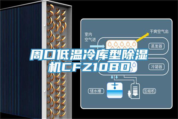 周口低溫冷庫型杏仁视频APP成人官方污CFZ10BD
