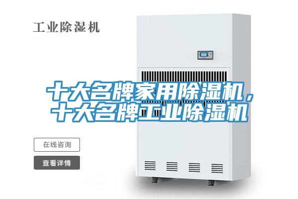 十大名牌家用杏仁视频APP成人官方污，十大名牌工業杏仁视频APP成人官方污