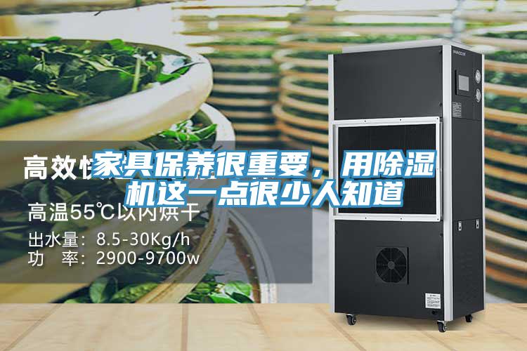 家具保養很重要，用杏仁视频APP成人官方污這一點很少人知道