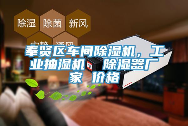 奉賢區車間杏仁视频APP成人官方污，工業抽濕機  除濕器廠家 價格