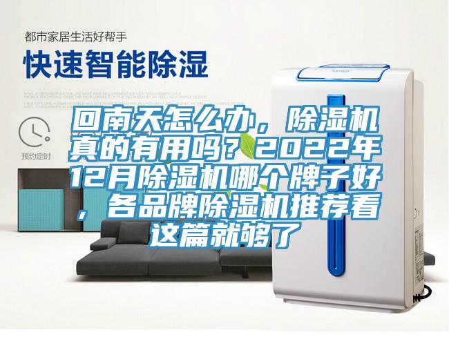 回南天怎麽辦，杏仁视频APP成人官方污真的有用嗎？2022年12月杏仁视频APP成人官方污哪個牌子好，各品牌杏仁视频APP成人官方污推薦看這篇就夠了