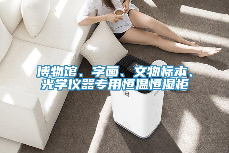 博物館、字畫、文物標本、光學儀器專用恒溫恒濕櫃