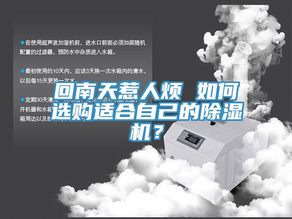 回南天惹人煩 如何選購適合自己的杏仁视频APP成人官方污？