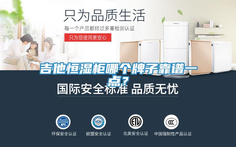 吉他恒濕櫃哪個牌子靠譜一點？