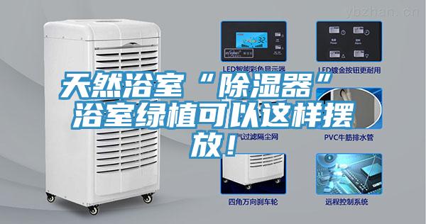 天然浴室“除濕器” 浴室綠植可以這樣擺放！