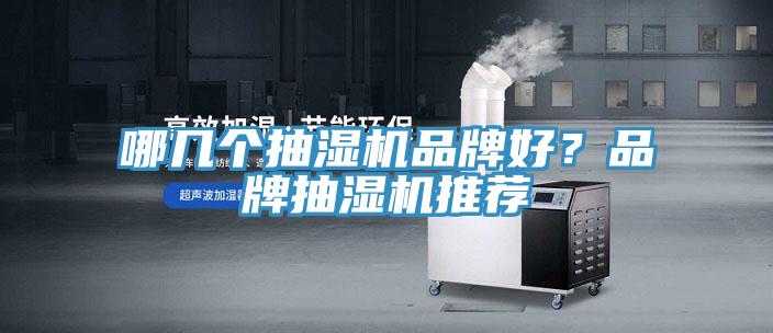 哪幾個抽濕機品牌好？品牌抽濕機推薦