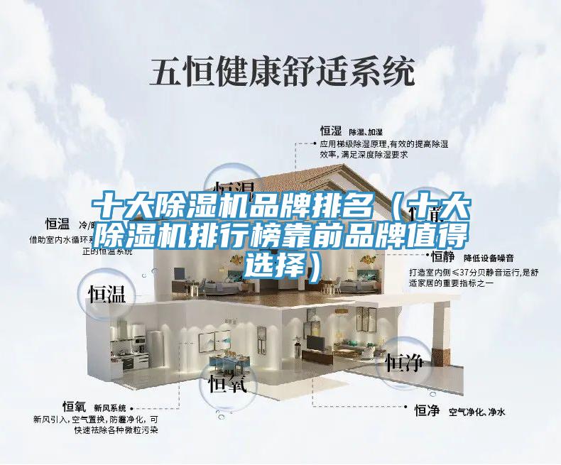 十大杏仁视频APP成人官方污品牌排名（十大杏仁视频APP成人官方污排行榜靠前品牌值得選擇）