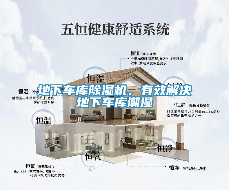 地下車庫杏仁视频APP成人官方污，有效解決地下車庫潮濕