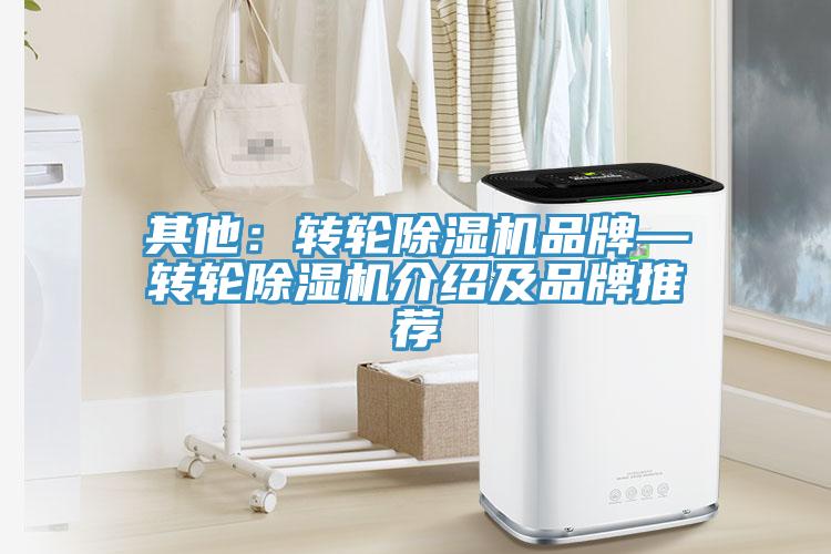 其他：轉輪杏仁视频APP成人官方污品牌—轉輪杏仁视频APP成人官方污介紹及品牌推薦