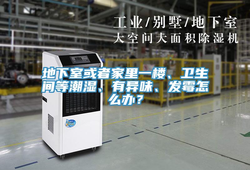 地下室或者家裏一樓、衛生間等潮濕、有異味、發黴怎麽辦？