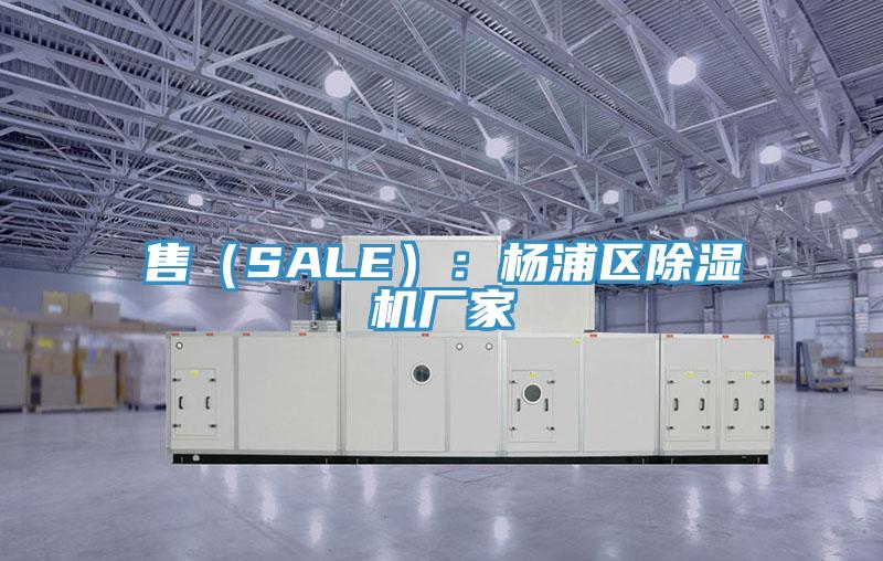 售（SALE）：楊浦區杏仁视频APP成人官方污廠家