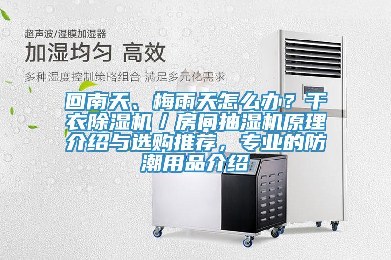 回南天、梅雨天怎麽辦？幹衣杏仁视频APP成人官方污／房間抽濕機原理介紹與選購推薦，專業的防潮用品介紹