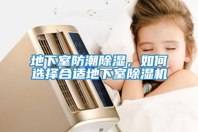 地下室防潮除濕，如何選擇合適地下室杏仁视频APP成人官方污