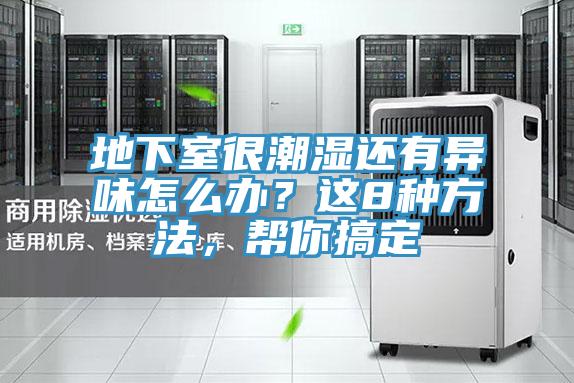 地下室很潮濕還有異味怎麽辦？這8種方法，幫你搞定