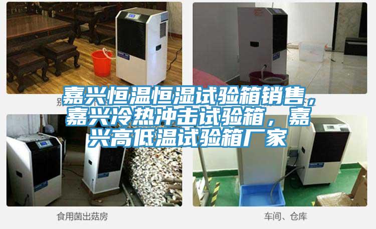 嘉興恒溫恒濕試驗箱銷售，嘉興冷熱衝擊試驗箱，嘉興高低溫試驗箱廠家