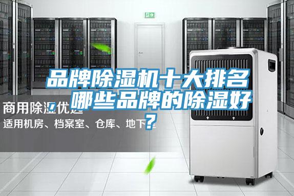 品牌杏仁视频APP成人官方污十大排名，哪些品牌的除濕好？