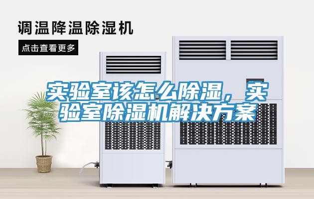實驗室該怎麽除濕，實驗室杏仁视频APP成人官方污解決方案
