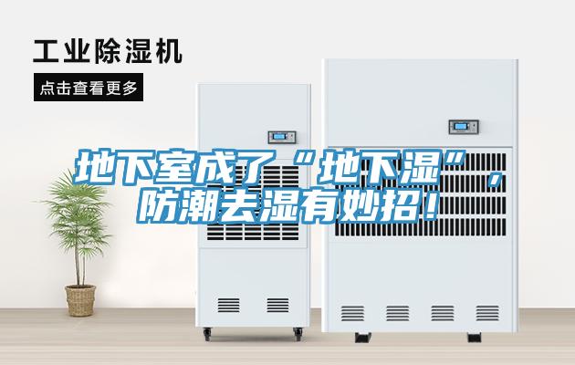 地下室成了“地下濕”，防潮去濕有妙招！