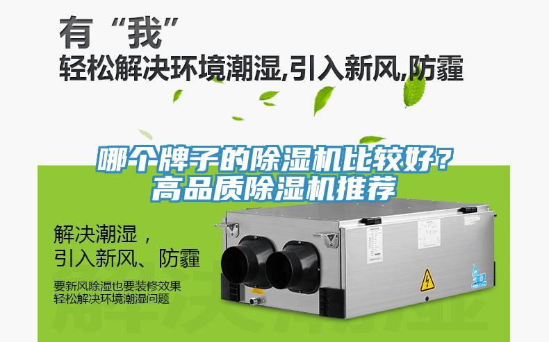 哪個牌子的杏仁视频APP成人官方污比較好？高品質杏仁视频APP成人官方污推薦