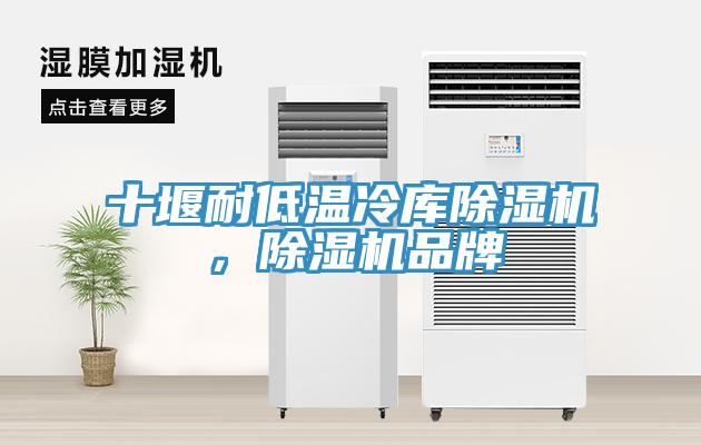 十堰耐低溫冷庫杏仁视频APP成人官方污，杏仁视频APP成人官方污品牌