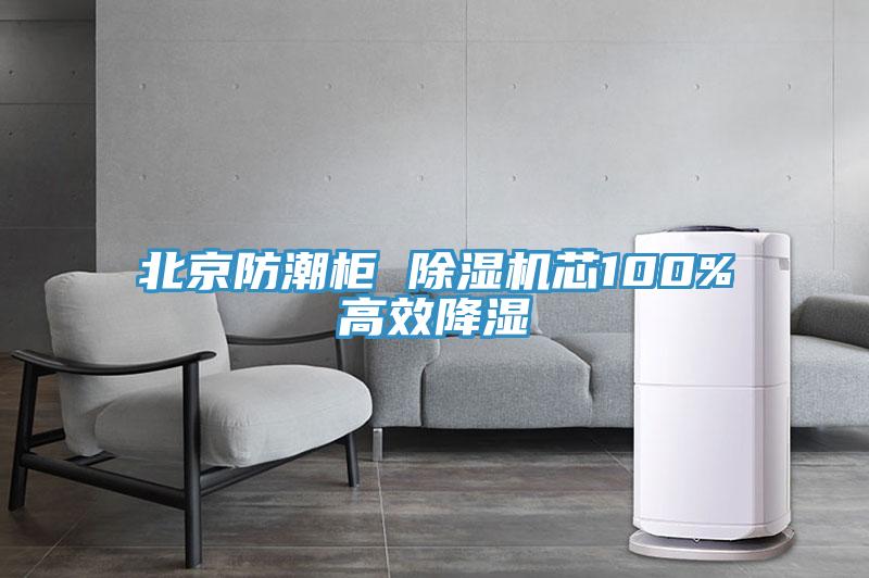 北京防潮櫃 杏仁视频APP成人官方污芯100%高效降濕