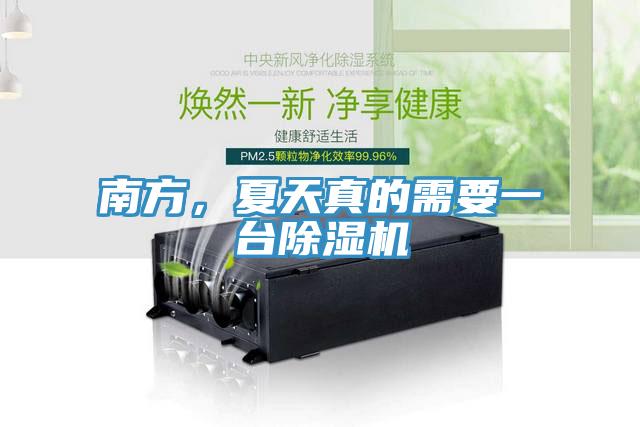 南方，夏天真的需要一台杏仁视频APP成人官方污