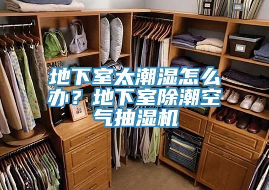 地下室太潮濕怎麽辦？地下室除潮空氣抽濕機