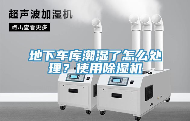 地下車庫潮濕了怎麽處理？使用杏仁视频APP成人官方污