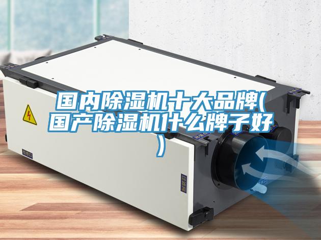 國內杏仁视频APP成人官方污十大品牌(國產杏仁视频APP成人官方污什麽牌子好)