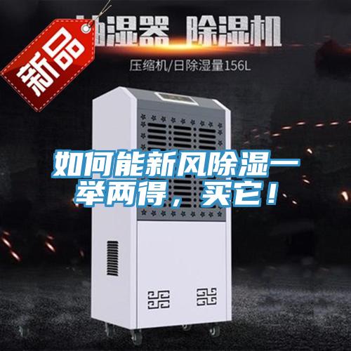 如何能新風除濕一舉兩得，買它！