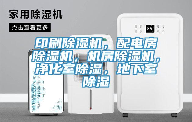 印刷杏仁视频APP成人官方污，配電房杏仁视频APP成人官方污，機房杏仁视频APP成人官方污，淨化室除濕，地下室除濕