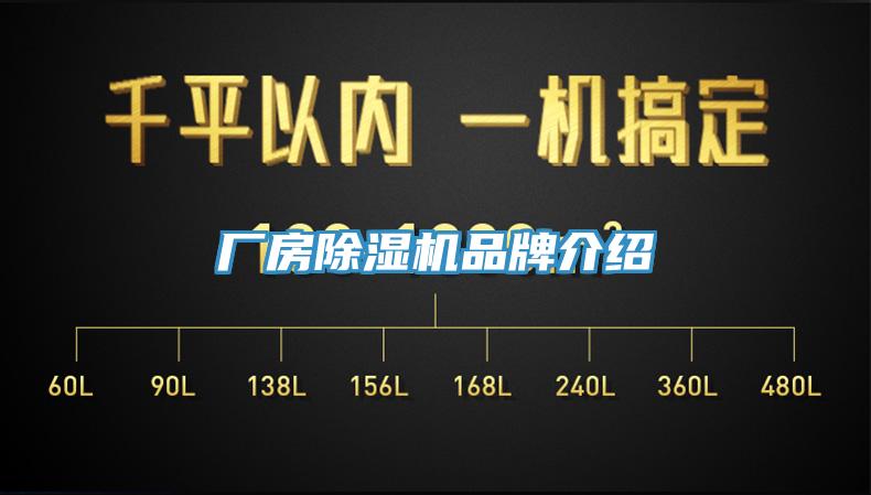 廠房杏仁视频APP成人官方污品牌介紹