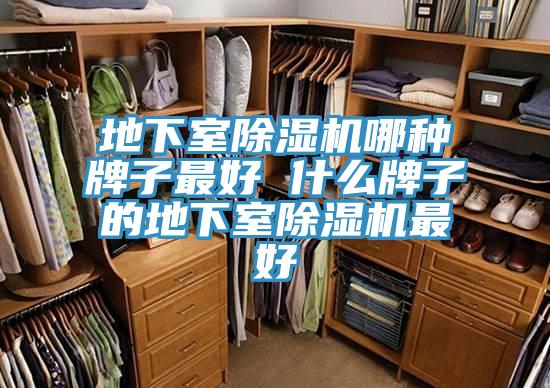 地下室杏仁视频APP成人官方污哪種牌子最好 什麽牌子的地下室杏仁视频APP成人官方污最好