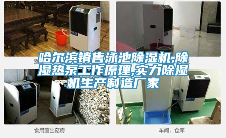 哈爾濱銷售泳池杏仁视频APP成人官方污,除濕熱泵工作原理,實力杏仁视频APP成人官方污生產製造廠家