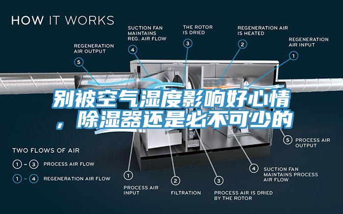 別被空氣濕度影響好心情，除濕器還是必不可少的