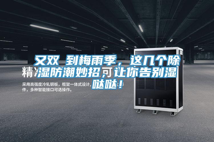 又雙叒到梅雨季，這幾個除濕防潮妙招，讓你告別濕噠噠！