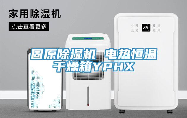 固原杏仁视频APP成人官方污 電熱恒溫幹燥箱YPHX