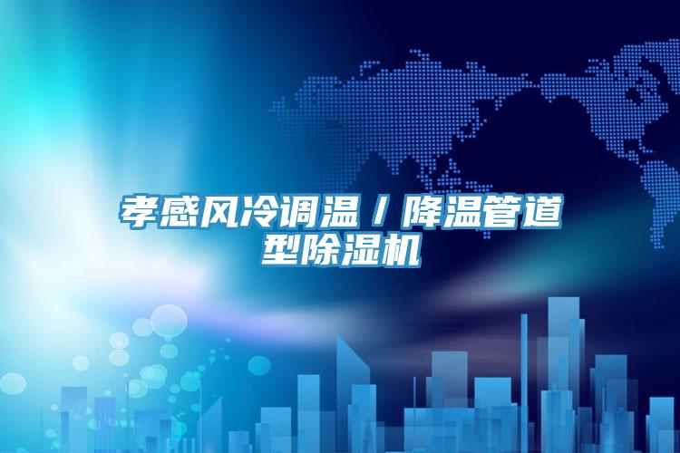 孝感風冷調溫／降溫管道型杏仁视频APP成人官方污