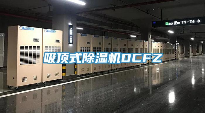 吸頂式杏仁视频APP成人官方污DCFZ